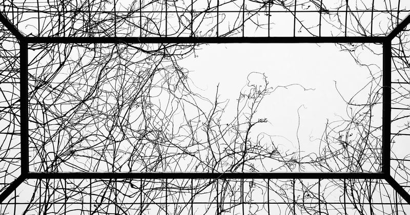 Windows.old löschen: So gewinnst du Speicherplatz zurück