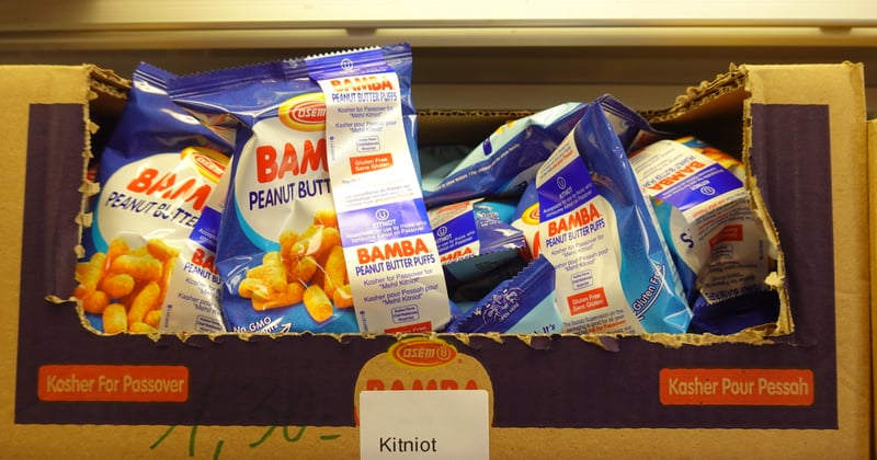 Dürfen Hunde Kichererbsen essen? Das solltest du wissen